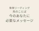 今のあなたに必要な一羽をお届けします 今のあなたに必要な一羽を選びメッセージを届けます イメージ1