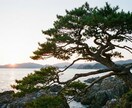 言葉を伝えます 亡くなった大切な人からの伝言を伝えます。 イメージ9