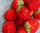 うつ症状をお話し下さい。話すことで手放せます 気分が上がらない。やる気がでない。そんな時はお電話下さい イメージ1