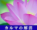 山富浩司さん直伝★カルマを癒し、解放します 「うまくいかない」悪循環を数分で書き換え望む未来を引き寄せる イメージ1