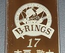 素材を選ばずレーザー彫刻致します 誕プレ・贈り物・一品物に最高です イメージ8
