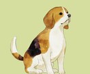 水彩画風のリアルな動物イラスト作成します ぬくもりを感じる、柔らかな動物イラスト イメージ1