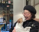 妊娠・子宝占い・不妊・高齢・二人目・子宝鑑定します 【受胎予定日カレンダー付】心を込めて占います。現実と未来 イメージ7
