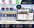 営業しやすい東京都のヘアサロンリストを売ります インスタ運用・Web制作・LINE構築向け厳選リスト① イメージ1