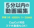 5分以内の動画編集ます 字幕つき｜4000円／3回修正OK・1〜3日納品 イメージ1
