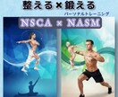 鍛える前に整える。動作評価から身体を再設計します 国際資格からの評価に基づく個別設計セッション イメージ1