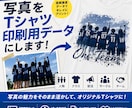写真をTシャツ印刷用データにします 写真の魅力をそのままプリントデータにします イメージ1