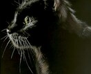 黒紙に色鉛筆でリアルな絵を描きます 他にはない黒紙に色鉛筆でリアルな質感で絵を描くアートです。 イメージ5