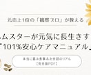 ハムちゃんのケア方法伝授します 可愛いハムちゃんのこと理解できていますか？ イメージ1