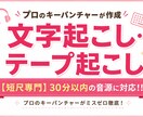 30分以内の音声・動画を正確に文字起こしいたします 等倍音源限定・テキスト完結／納期厳守で丁寧に対応いたします！ イメージ1