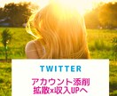 ツイッター集客＆収入UPのコンサルします 4500万ユーザーへ販売導線構築から収益へお繋ぎ拡散!! イメージ1