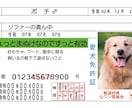 ペット免許証を最短3日で制作します 自社印刷だから安心＆スピード納品可能！ イメージ3