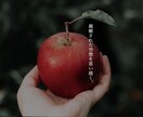 Wixで集客等に使うLPを作成いたします 新規事業・個人様など幅広く対応！ 初心者の方も丁寧にサポート イメージ3
