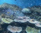 mama♪が頑張りすぎた心のお話、お聞きします 発達障害・不登校育児経験。支援員としても活動中。 イメージ7