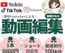 1本3000円〜｜実績100本超・丁寧に対応します 現役Youtuber！長尺・ショート動画100本以上制作 イメージ1