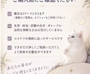 タロットで今のお悩みを丁寧にうらないます 気持ち、未来、人間関係を丁寧に読み解きます イメージ5