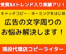 キャッチコピー・ネーミング・広告文字周り解決します 受賞&Xトレンド入り実績アリのコピーライターが制作します イメージ1