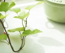 あなたの恋のお悩みの処方箋出します 一つの悩みでどうどう巡り。出口が見えないあなたに イメージ1