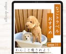 シンプル・ナチュラルな伝わるバナーを作成いたします ラフ案を見てからご購入を決めていただけます！ イメージ2
