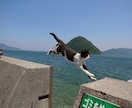 不要物消去します 写りこんでしまったものでも削除して背景合成します。 イメージ5