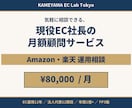 EC・ネットショップ運営の顧問になります Amazon・楽天運用12年/年商1億の社長が月額で伴走 イメージ1