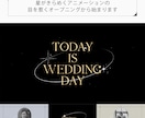 シックでキラキラなプロフィールムービー作ります シンプルで大人っぽいシックな雰囲気のプロフィールムービー イメージ2