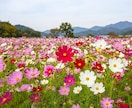 ちょっときいて！話したいとき、すぐききます いつでもここでまってるよ！あなたの親友だからねっ❣ イメージ4