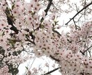 貴方の悩みに答えます 小さい事でもok！どん底からはいあがった経験者が導きます！ イメージ3