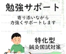 鍼灸国試　オンライン家庭教師　勉強をサポートします 現役教員が勉強継続を寄り添いながら力強くサポートします イメージ1