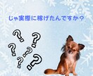 ゼロから商品が売れるようになるコンサルやります はじめての商品販売を成功に導くサポート イメージ7