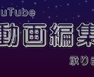 動画編集初心者の方、趣味動画を作りたい方の味方ます リーズナブルな価格で動画編集をします イメージ1