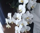 ご相談相手になります 一人で悩まないで！私がいます！ イメージ1