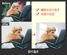 画像加工から簡易デザインまで細かい要望も承ります WEBデザイナーとして3年の実務経験あり イメージ5