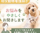 現役動物看護師がうちの子のお悩みをお聞きします ご希望の方にはオプションでうちの子デザインカードも作成！ イメージ1