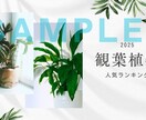 動画編集者がYouTubeサムネイル制作します 迅速・丁寧｜見やすいサムネイルを作成 イメージ3