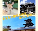 奈良県の観光スポットをご案内します これから奈良を楽しむ貴方へ！旅の手助けさせて頂きます！ イメージ1