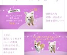 素適なプロフィールムービーを簡単に作成します 20000組の先輩たちからも絶賛のプロフィールムービー イメージ7
