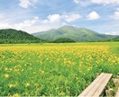 福祉介護についてなんでもご相談いただけます 誠心誠意あなたに寄り添います！ イメージ2