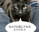 愚痴を聞いたり話し相手になったりします 話を聞くのが得意なので愚痴や相談を聞いています イメージ1