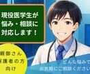 現役医学生が、親御さんのお悩み相談にのります 子育てや教育、受験期の子どもとの接し方など、どんな悩みでも！ イメージ1