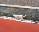 しゃっくりの止め方教えます 。わっ！とかではなく。ある方法で止まります。 イメージ3