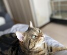 女性は知らない男の本音全て教えます 男目線の本音を全てぶっちゃけます！！諦める理由になります。 イメージ1