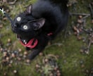 大切な家族の写真を出張撮影しますます いつもの表情や仕草を自然な雰囲気で写真に残します イメージ2