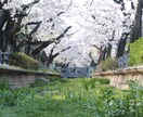 写真の素材提供･合成を行ってます 最大限丁寧なサービスを心がけております！ イメージ5