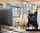流行りの猫ミーム動画の制作を行います YouTubeshortsやTiktokなどへ投稿したい方へ イメージ1