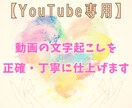 YouTube動画の文字起こしを丁寧に仕上げます YouTube専用！動画の文字起こしを正確・丁寧に仕上げます イメージ1