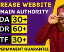 Increase Ahrefs dr 60+ます Increase Ahrefs dr 60+ & moz イメージ1