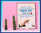 外国語対応も可！目を引く高品質バナーを作成致します クリック率UP！ユーザーの目を引く！多言語対応もOK！ イメージ5