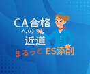 CA合格への近道！あなたのESまるっと添削します ANA、JAL他国内エアライン内定実績多数あり イメージ1