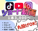 低価格でショート動画を編集します SNS動画実績アリ！丁寧を心がけ動画編集いたします！ イメージ1
